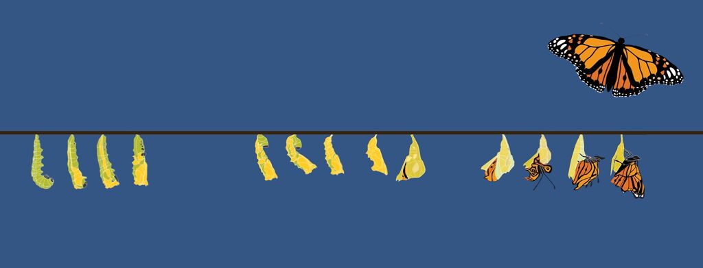 The Beginning of Life After Diagnosis image