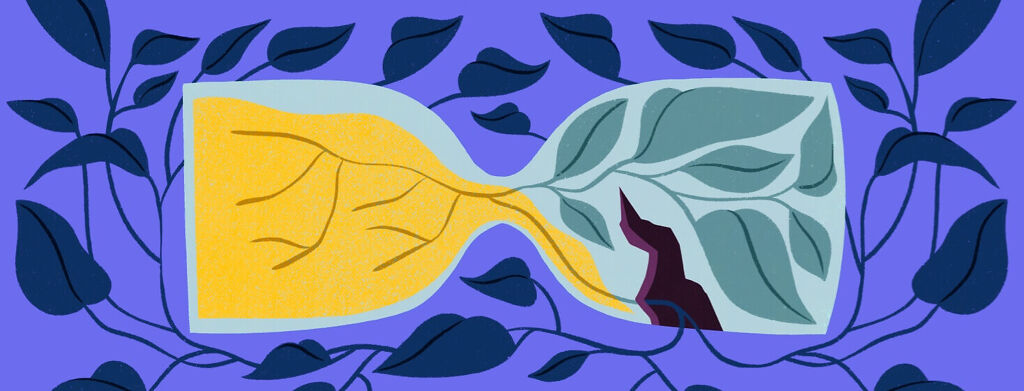 A Life Unfolding: The Beauty and Weight of a Slow Farewell image